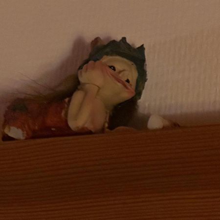 Trollhus - Grosses Familienfreundliches Ferienhaus Born Exterior foto