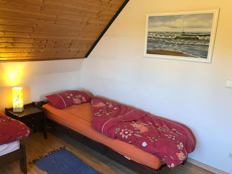 Trollhus - Grosses Familienfreundliches Ferienhaus Born Exterior foto