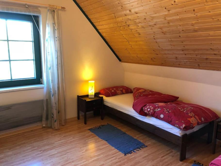 Trollhus - Grosses Familienfreundliches Ferienhaus Born Exterior foto